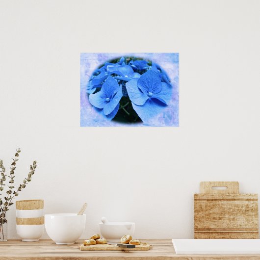 Blue Hydrangeas - Poster (Keuken)