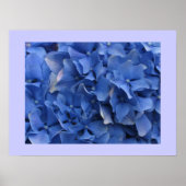Blue Hydrangeas Print (Voorkant)