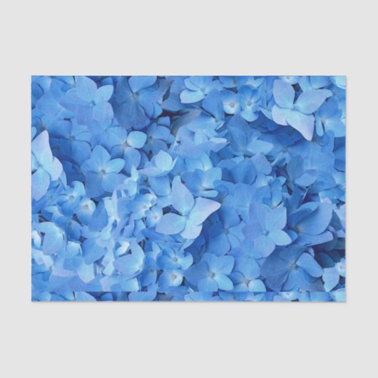 Blue Hydrangeas Real Flowers Tissuepapier (Voorkant)