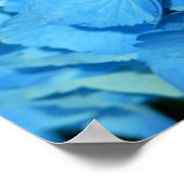 Blue Hydrengea Poster (Hoek)