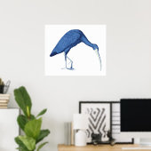 Blue Ibis vogel illustratie Poster (Thuiskantoor)