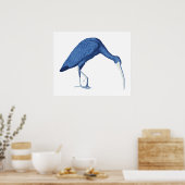 Blue Ibis vogel illustratie Poster (Keuken)