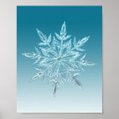 Blue Ice Crystal Poster (Voorkant)