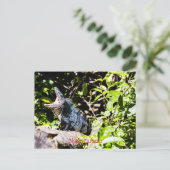 Blue Iguana Briefkaart (Staand voorkant)