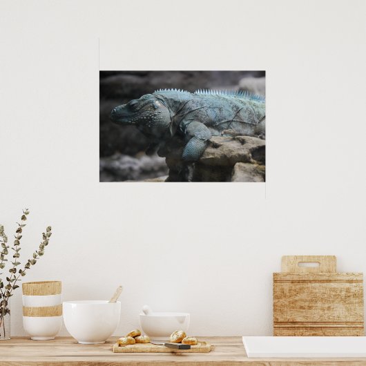 Blue Iguana Print (Keuken)