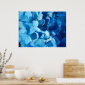 Blue Impression (hydrangea) Poster (Keuken)
