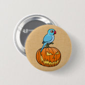 Blue Indian Ringneck on Pumpkin Halloween Ronde Button 5,7 Cm (Voorkant /achterkant)