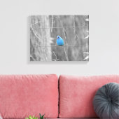 Blue Indigo Bird Canvas Afdruk (Insitu (Woonkamer))