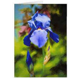 Blue Iris