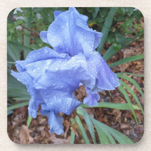 Blue Iris Bier Onderzetter (Voorkant)