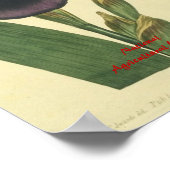 Blue Iris Botanical Print (Hoek)