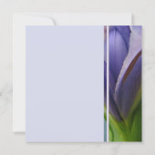 Blue Iris Bridal Shower-uitnodiging Kaart (Achterkant)