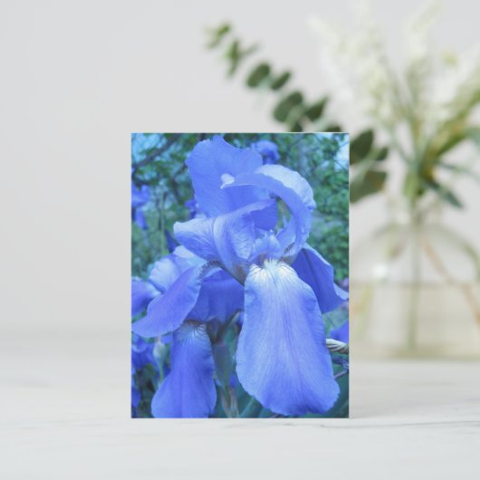 Blue Iris Briefkaart (Staand voorkant)