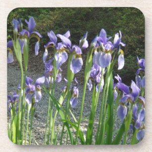 Blue Iris Drankjes Onderzetter