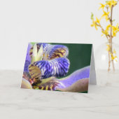 Blue Iris Floral Birthday Kaart (Gele Bloem)