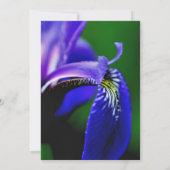 Blue Iris Floral Bridal Wedding Shower Uitnodiging (Achterkant)