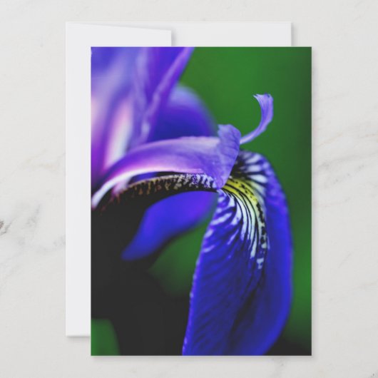 Blue Iris Floral Bridal Wedding Shower Uitnodiging (Achterkant)