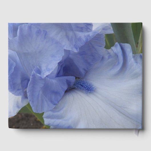 Blue Iris Floral Memorial Service Gastenboek (Achterkant)
