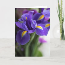 Blue Iris Flower Bouquet