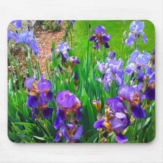 Blue Iris Flower Patch Mousepad Muismat (Voorkant)