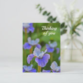Blue Iris Flower Portrait Thinking of you Briefkaa Briefkaart (Staand voorkant)