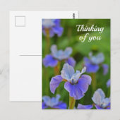 Blue Iris Flower Portrait Thinking of you Briefkaa Briefkaart (Voorkant / Achterkant)