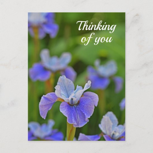 Blue Iris Flower Portrait Thinking of you Briefkaa Briefkaart (Voorkant)