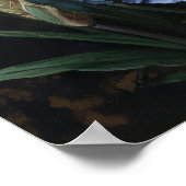 Blue Iris Flowers Art Print Poster (Hoek)