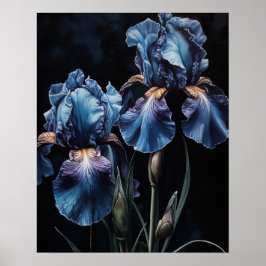 Blue Iris Flowers Art Print Poster