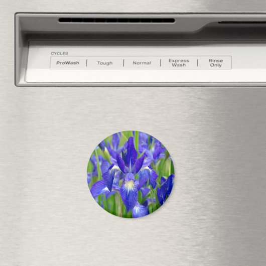 Blue Iris Flowers Magnet (Insitu (Vaatwasser))