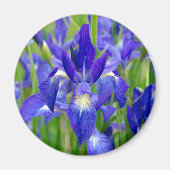Blue Iris Flowers Magnet (Voorkant)