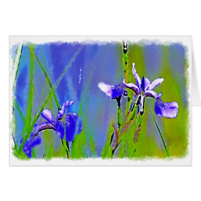 Blue Iris Garden Flowers Florists Designer Art (Voorkant Horizontaal)