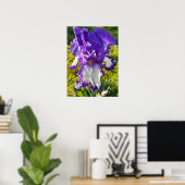 Blue Iris Irissen White Floral Flower Garden Poste Poster (Thuiskantoor)