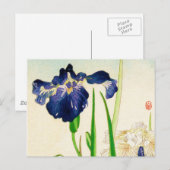 Blue Iris - Japanse waterverf afdrukken Briefkaart (Voorkant / Achterkant)