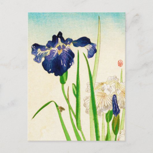 Blue Iris - Japanse waterverf afdrukken Briefkaart (Voorkant)