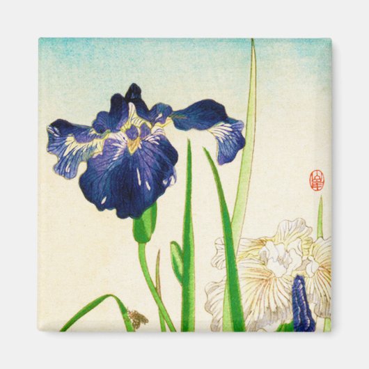 Blue Iris - Japanse waterverf afdrukken Magneet (Voorkant)