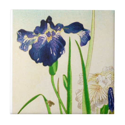 Blue Iris - Japanse waterverf afdrukken Tegeltje (Voorkant)