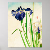 Blue Iris Japanse Waterverf Poster (Voorkant)