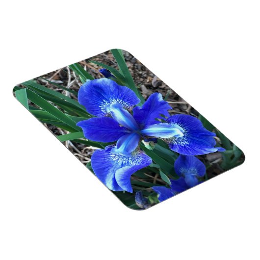 Blue Iris Magneet (Rechterzijde)