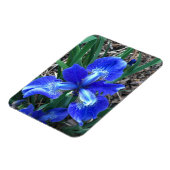 Blue Iris Magneet (Linkerzijde)