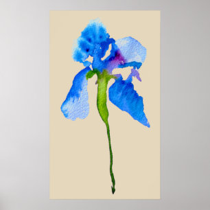 Blue Iris moderne florale waterverf kunst Poster