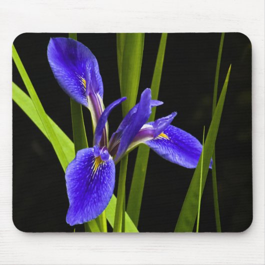Blue Iris Mousepad Muismat (Voorkant)
