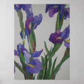 Blue Iris Poster (Voorkant)