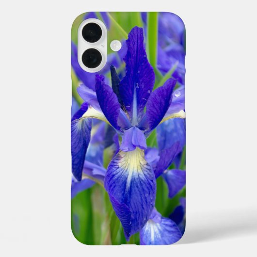 Blue Iris telefoonhoesje Case-Mate iPhone Case (Achterkant)