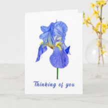 Blue Iris Thinking of You Folded Kaart