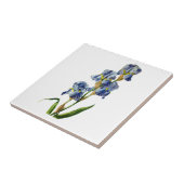 Blue Iris uit de Natuur van Gerard van Spaendon Tegeltje (Zijkant)