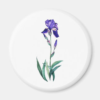 Blue Iris van PMACarlson Magneet