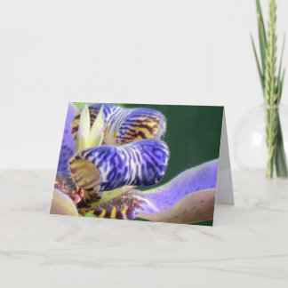 Blue Iris Wenskaart Kaart