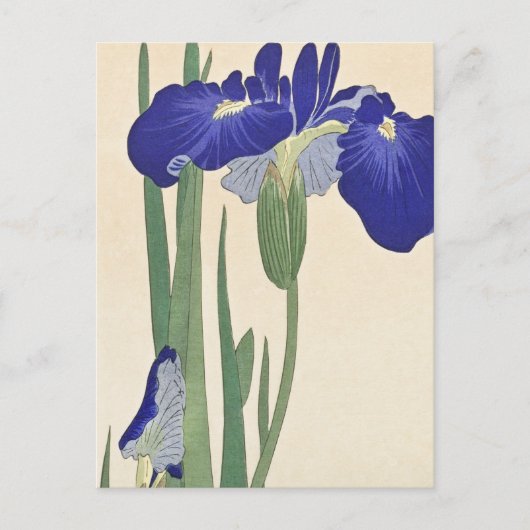 Blue Irise Painting van Ohara Koson Briefkaart (Voorkant)