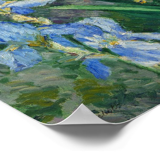 Blue Irises, Garden at Petit Gennevilliers, 1892 Poster (Hoek)